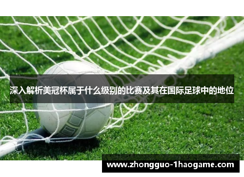 深入解析美冠杯属于什么级别的比赛及其在国际足球中的地位