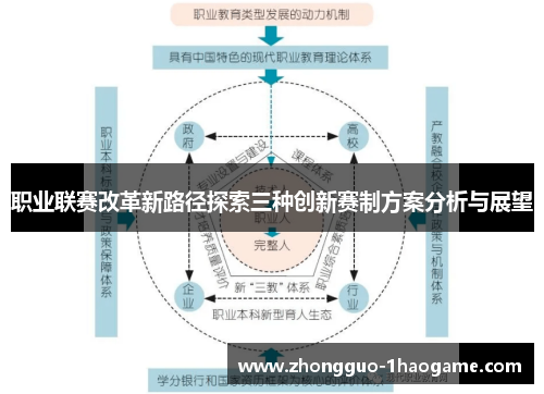职业联赛改革新路径探索三种创新赛制方案分析与展望