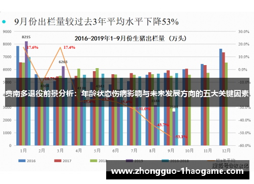 费南多退役前景分析：年龄状态伤病影响与未来发展方向的五大关键因素