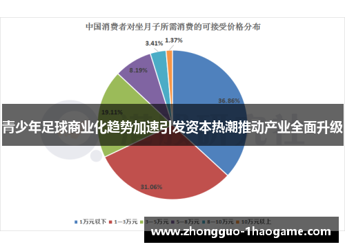 青少年足球商业化趋势加速引发资本热潮推动产业全面升级