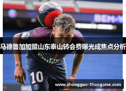 马德鲁加加盟山东泰山转会费曝光成焦点分析