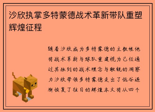沙欣执掌多特蒙德战术革新带队重塑辉煌征程